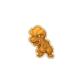 Gold Bagon